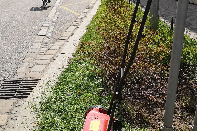 Záhony a komunitní zahrada v Havlíčkově kolonii